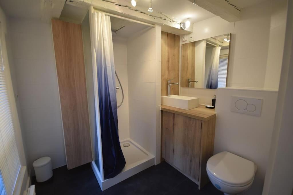 Le Studio Du Quai Des Pecheurs - Charmant Duplex Sur Les Quais Estrasburgo Exterior foto